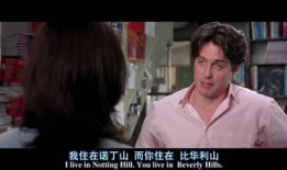 诺丁山电影,爱情与梦想的浪漫邂逅