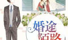 婚途陌路漫画,一段婚姻的悲欢离合