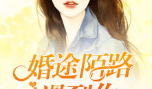 婚途陌路漫画,一段婚姻的悲欢离合